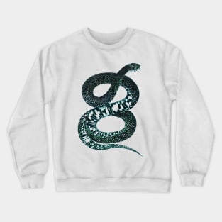 serpent,cobra,reptile,viper,venom,lizard,rattlesnake,king cobra Crewneck Sweatshirt